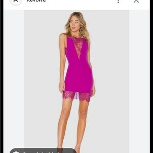 Revolve Elegant Pink Lace dress